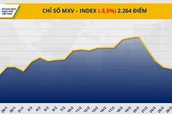 Thị trường hàng hóa 'đỏ lửa' kéo MXV-Index rơi xuống đáy trong 9 tuần