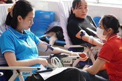 Quảng Ngãi: Gần 300 cán bộ, hội viên phụ nữ tham gia hiến máu tình nguyện
