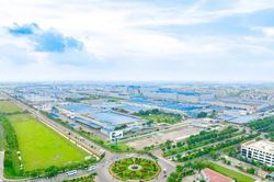 GELEX đặt mục tiêu doanh thu kỷ lục gần 38.000 tỷ đồng năm 2025, cổ tức 10%
