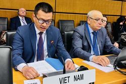 Việt Nam và IAEA hợp tác chặt chẽ trong phát triển, ứng dụng công nghệ hạt nhân vì mục đích hòa bình