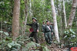 Giữ màu xanh những cánh rừng