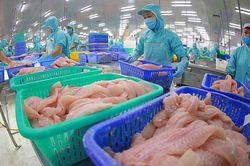 Xuất khẩu thủy sản 2025: Tận dụng cơ hội, khắc phục thách thức