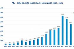 Một doanh nghiệp tư nhân có số tiền nộp ngân sách cao hơn 34 tỉnh, thành phố