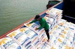 Thủ tướng yêu cầu nâng cao năng lực cạnh tranh, làm lành mạnh thị trường lúa gạo