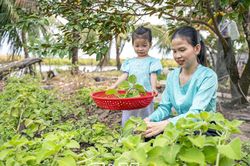 Khởi nghiệp từ đam mê