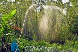 Diện tích rừng có nguy cơ cháy tăng cấp từng ngày