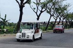 Bát nháo xe điện du lịch!
