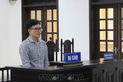 Cựu cán bộ ngân hàng lĩnh 12 năm tù do lừa đảo hơn 8,6 tỷ đồng