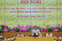 Bảo vệ ngành hàng lúa gạo đồng bằng sông Cửu Long