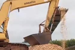 Huyện Con Cuông yêu cầu dừng hoạt động tại xưởng băm dăm trái phép