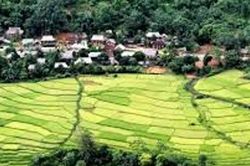 Thời tiết Hà Tĩnh, Thanh Hóa ngày 7/3: Đêm rét đậm, vùng núi cao có nơi rét hại
