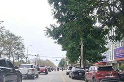 Người điều khiển phương tiện không được dừng, đỗ xe tại các vị trí nào?