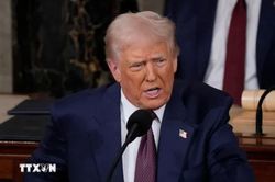 Tổng thống Trump cân nhắc kế hoạch kiểm tra các tàu chở dầu trên biển của Iran