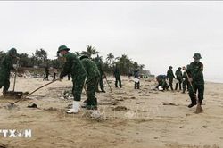 Thành phố Huế: Xử lý xong dầu vón cục trôi dạt vào bờ biển huyện Phú Lộc