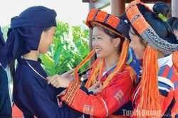 Những bông hoa rực rỡ