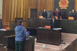 Hải Dương: Giăng điện bẫy chuột ruộng lúa, người chết, kẻ đi tù