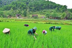 Phụ nữ BĐBP hướng về bà con nơi biên cương Tổ quốc