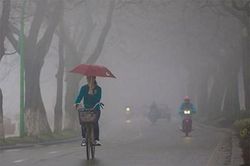 Dự báo thời tiết ngày 8/3/2025: Miền Bắc chuẩn bị nồm ẩm