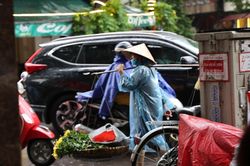 Dự báo thời tiết Thanh Hóa, Hà Tĩnh ngày 8/3/2025