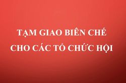Gia Lai tạm giao 113 biên chế cho các tổ chức hội
