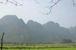 Hoàn thiện chuỗi giá trị lúa gạo