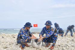 Lữ đoàn 146: Sôi nổi hoạt động 'Ngày thứ Bảy tình nguyện'