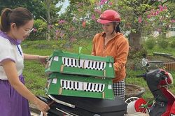 Hỗ trợ sinh kế cho phụ nữ nghèo