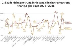 Gạo Việt xuất khẩu sang thị trường nào được giá nhất?