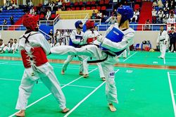 Làm gì để Taekwondo Hà Nội nâng tầm trình độ?