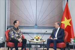Tổng Bí thư Tô Lâm tiếp lãnh đạo các tập đoàn, doanh nghiệp lớn của Indonesia