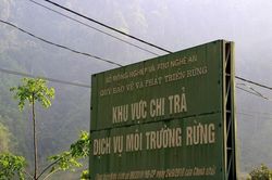 Bảo vệ rừng, tạo sinh kế bền vững nơi biên giới xứ Nghệ