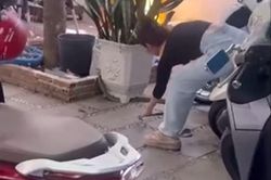 CLIP: Cô gái tay không bắt rắn 'khủng' ở Hậu Giang và cái kết khiến người xem 'thót tim'