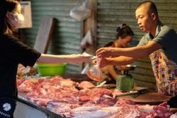 'Vỡ mộng' sau hàng chục năm bám trụ ở Hà Nội, vợ chồng 'dắt díu nhau' về quê