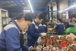 Phát triển đảng trong doanh nghiệp ngoài Nhà nước: Dấu ấn sau gần một nhiệm kỳ