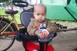 Bé 2 tuổi gào khóc vì ung thư hành hạ, bố nghèo ôm con rời viện về chờ số phận