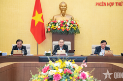 Dự án Luật Bảo vệ dữ liệu cá nhân: Lấp khoảng trống pháp lý trong bảo vệ dữ liệu