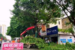 Tiếp tục thoái vốn nhà nước tại các doanh nghiệp công ích tại Nghệ An