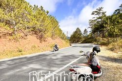 Con đường giữa biển và hoa
