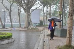 Thời tiết 11/3, Hà Nội tiếp tục có mưa phùn, nồm ẩm