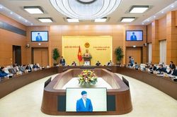 Không để xảy ra tình trạng lợi dụng chính sách để trốn thuế