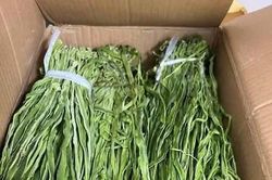 Loại rau 'khô như rơm' nửa triệu đồng/kg vẫn đăt hàng