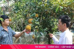 Bí thư chi bộ tâm huyết xây dựng quê hương giàu đẹp