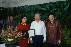 Hoa phong lan 'Papilionanda Tô Lâm Linh Ly': Biểu tượng mới của tình hữu nghị Việt Nam và Singapore