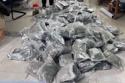 Công an tỉnh Tuyên Quang thu giữ hơn 153kg ma túy cần sa