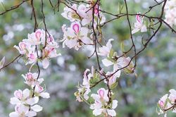 Thời tiết Nghệ An ngày 13/3: Mây thay đổi, ngày có nắng
