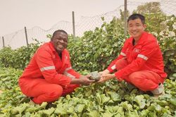 Trung Quốc hỗ trợ châu Phi 'xanh hóa' sa mạc