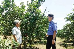 Nhiều cách hỗ trợ nông dân phát triển kinh tế