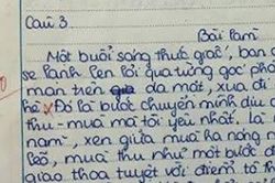 Bài văn bị chấm 0 điểm phần mở bài, dân tình phản đối giáo viên gay gắt