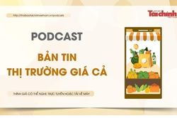 Bản tin Thị trường giá cả - Thông tin nổi bật về thị trường giá cả tuần 2 tháng 3/2025