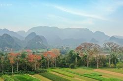 Thời tiết Nghệ An ngày 16/3: Trời chuyển rét